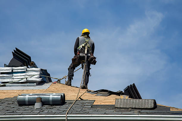 Professional Roof Replacement technician working in Lacoochee, FL